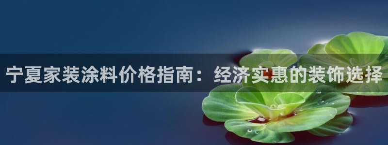 和记国际听