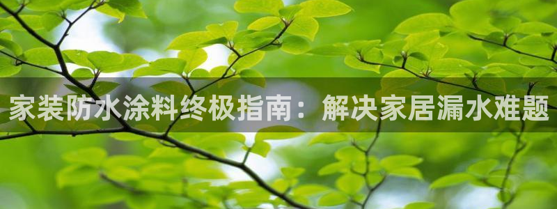 和记h88最新客户端下载：家装防水涂料终极指南：解决家居漏水难题