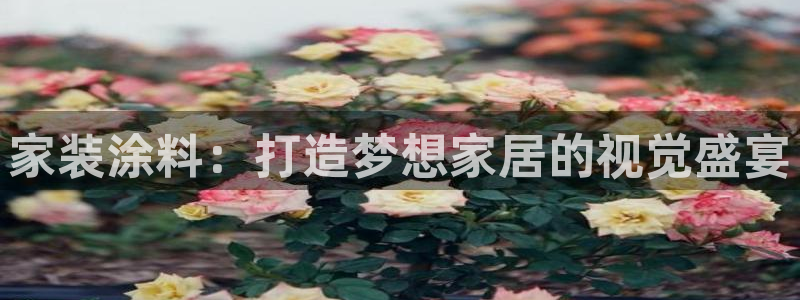 和记官方直营注册：家装涂料：打造梦想家居的视觉盛宴