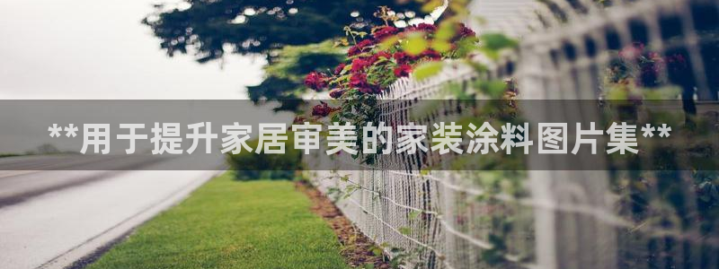 和记h88游戏