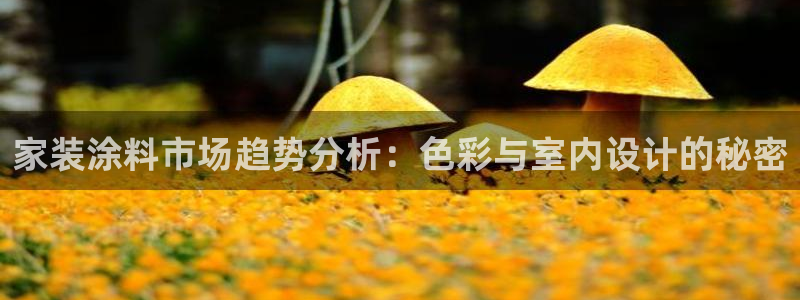 和记pc：家装涂料市场趋势分析：色彩与室内设计的秘密
