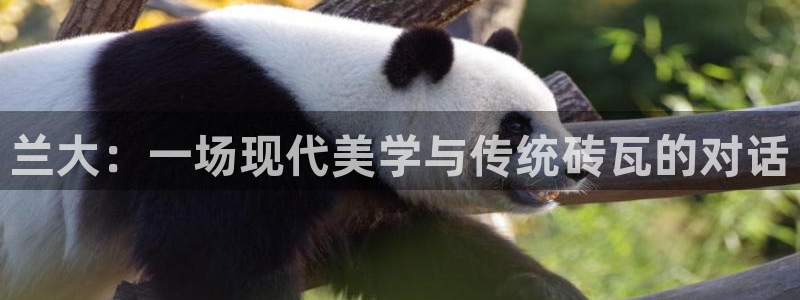 和记h88最新客户端下载