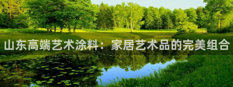 和记官网首页：山东高端艺术涂料：家居艺术品的完美组合