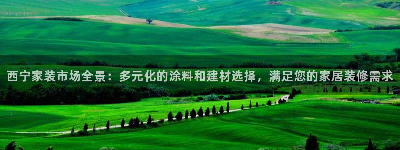 和记国际电讯市值