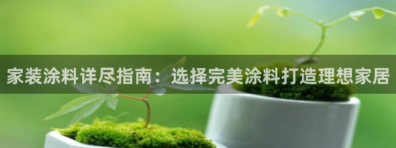 上海和记餐饮有限公司：家装涂料详尽指南：选择完美涂料打造理想家居