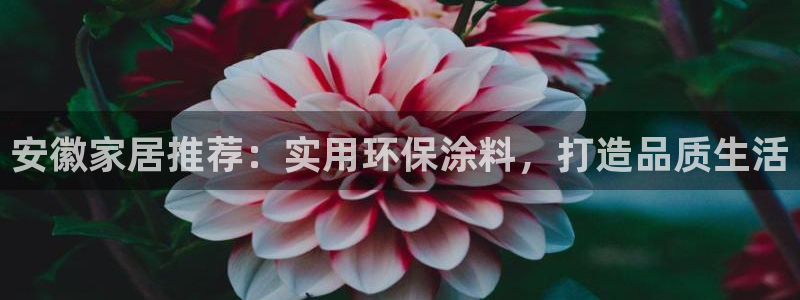 和记ag捕鱼害死多少人