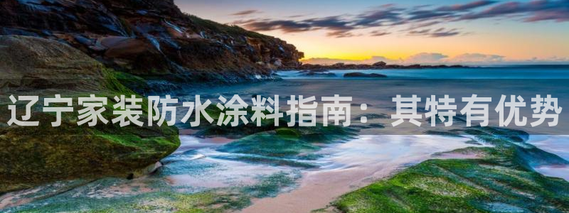和记ag捕鱼害死多少人：辽宁家装防水涂料指南：其特有优势