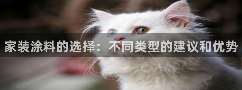 和记官方直营注册导航：家装涂料的选择：不同类型的建议和优势