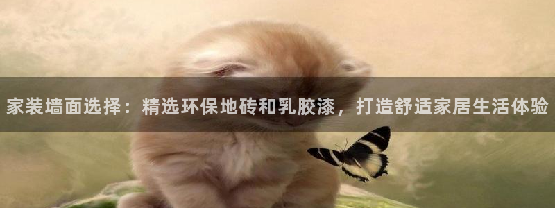 和记官网登陆：家装墙面选择：精选环保地砖和乳胶漆，打造舒适家居生活体验