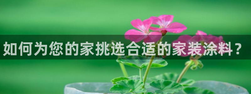 和记官方直营注册导航：如何为您的家挑选合适的家装涂料？