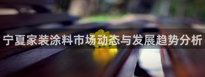 和记hj：宁夏家装涂料市场动态与发展趋势分析