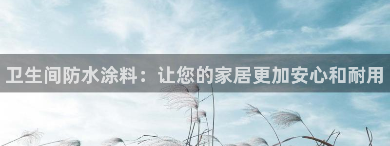 和记网页版登陆：卫生间防水涂料：让您的家居更加安心和耐用