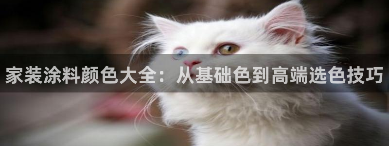 和记(福建)商贸有限公司招聘：家装涂料颜色大全：从基础色到高端选色技巧
