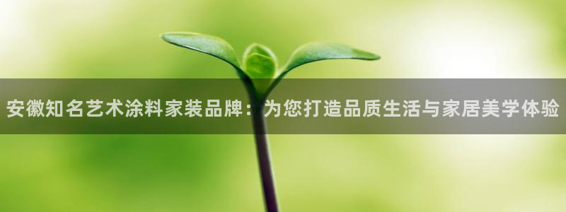 和记h88最新客户端下载：安徽知名艺术涂料家装品牌：为您打造品质生活与家居美学体验