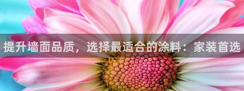 和记下载：提升墙面品质，选择最适合的涂料：家装首选
