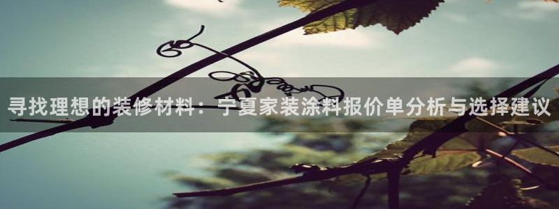 江苏和记数码科技有限公司：寻找理想的装修材料：宁夏家装涂料报价单分析与选择建议