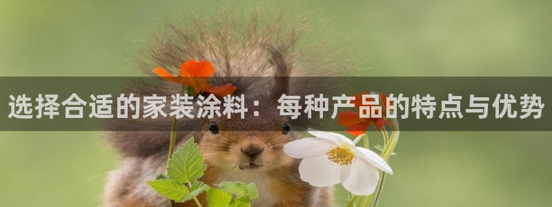 和记5g电讯：选择合适的家装涂料：每种产品的特点与优势