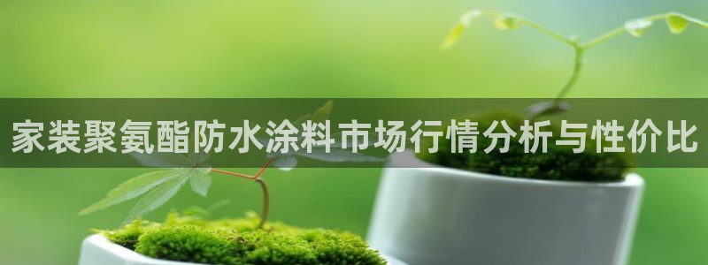 和记ag旗舰国际