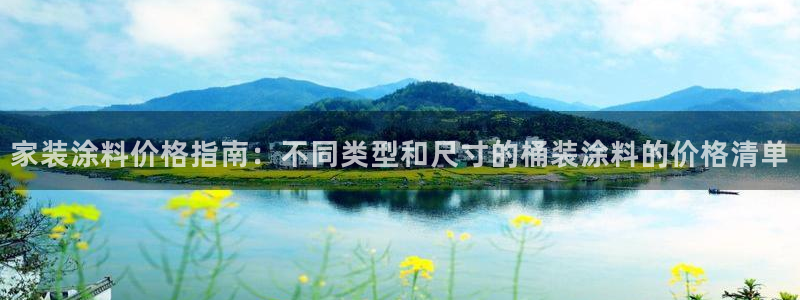 和记港口：家装涂料价格指南：不同类型和尺寸的桶装涂料的价格清