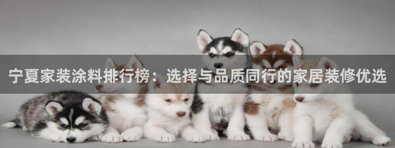 和记官方直营注册导航：宁夏家装涂料排行榜：选择与品质同行的家居装修优选