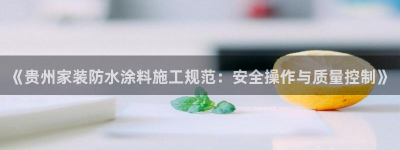 和记(福建)商贸有限公司：《贵州家装防水涂料施工规范：安全操作与质量控制》