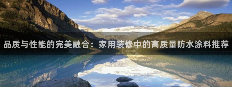 上海和记餐饮：品质与性能的完美融合：家用装修中的高质量防水涂料推荐