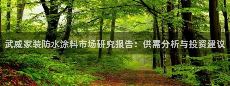 上海和记餐饮：武威家装防水涂料市场研究报告：供需分析与投资建议