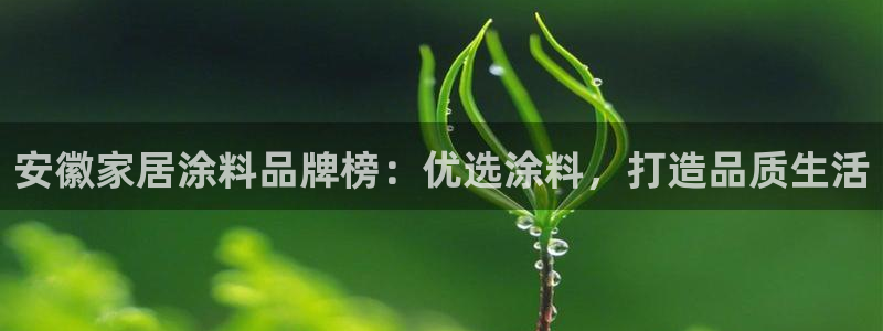 和记平台登陆：安徽家居涂料品牌榜：优选涂料，打造品质生活