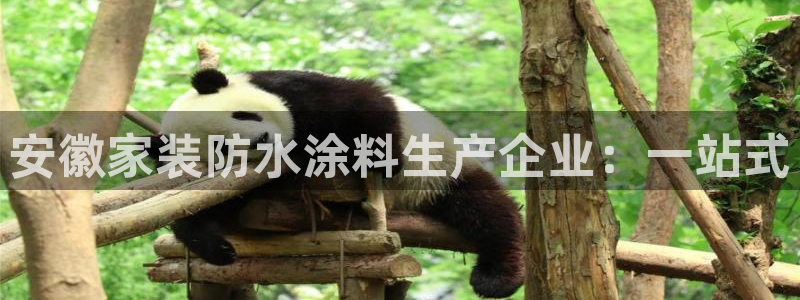 和记官方平台：安徽家装防水涂料生产企业：一站式