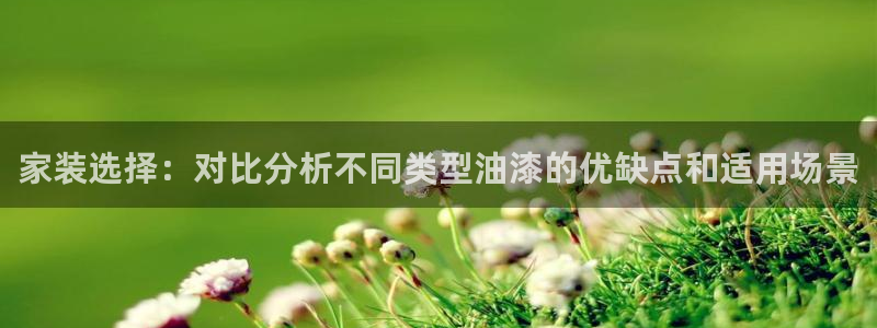 和记ag：家装选择：对比分析不同类型油漆的优缺点和适用场景