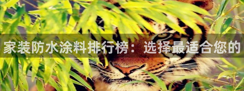 和记官方：家装防水涂料排行榜：选择最适合您的