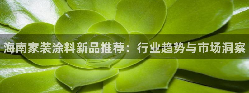 和记AG网站：海南家装涂料新品推荐：行业趋势与市场洞察