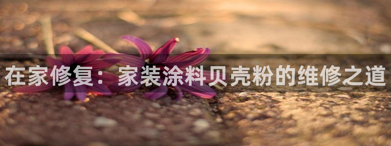 和记最新官方网址：在家修复：家装涂料贝壳粉的维修之道