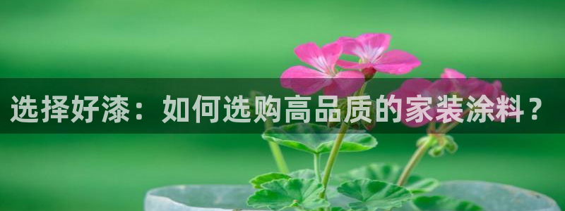 和记(福建)商贸有限公司