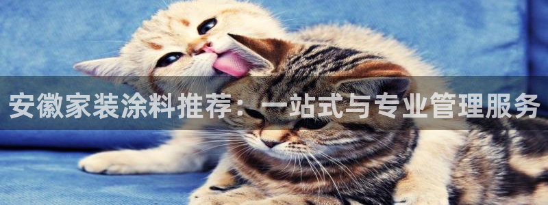 和记登陆：安徽家装涂料推荐：一站式与专业管理服务