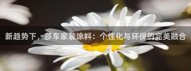 和记Ag：新趋势下，莎车家装涂料：个性化与环保的完美融合