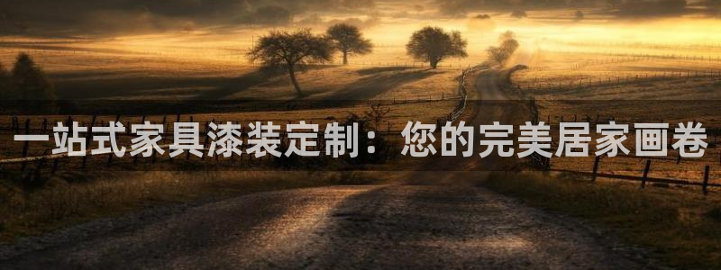 和记注册有什么送的：一站式家具漆装定制：您的完美居家画卷
