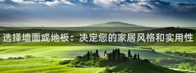 和记2017app：选择墙面或地板：决定您的家居风格和实用性