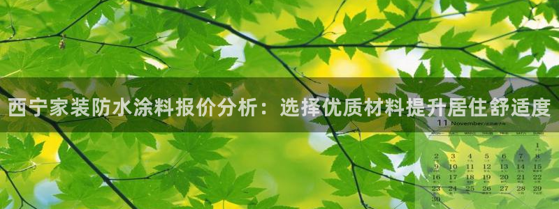 和记官方网站：西宁家装防水涂料报价分析：选择优质材料提升居住舒适度