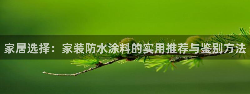 和记Ag