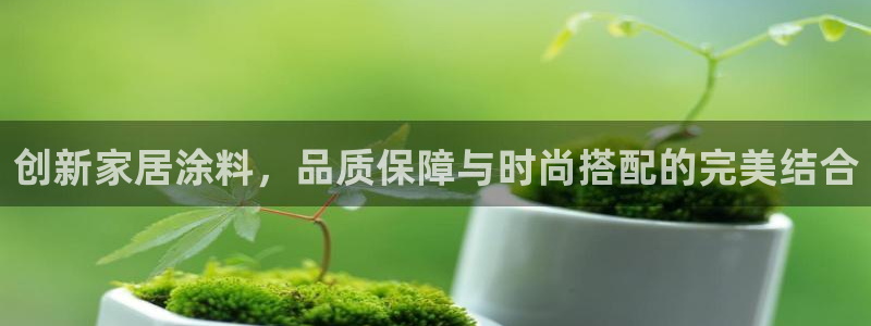 和记国际开户：创新家居涂料，品质保障与时尚搭配的完美结合