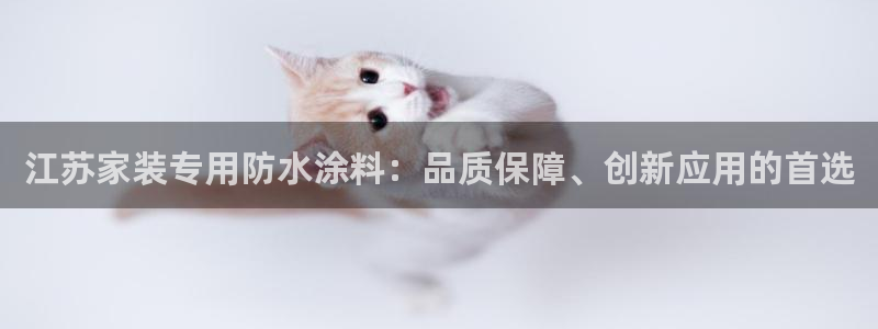 和记官方直营注册：江苏家装专用防水涂料：品质保障、创新应用的首选