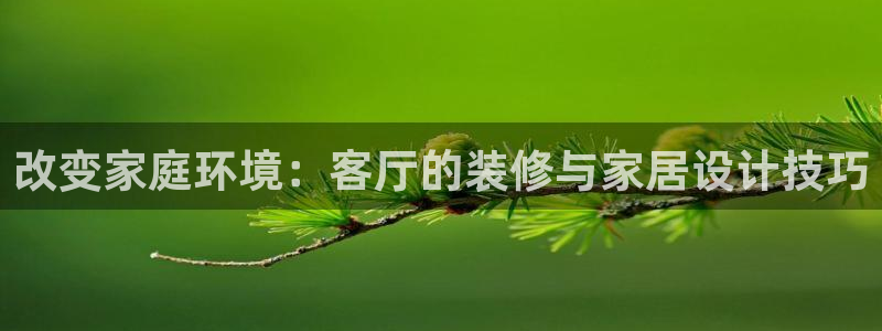 和记官网 公司：改变家庭环境：客厅的装修与家居设计技巧