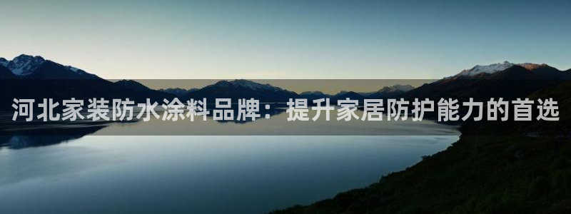 和记官网首页：河北家装防水涂料品牌：提升家居防护能力的首选