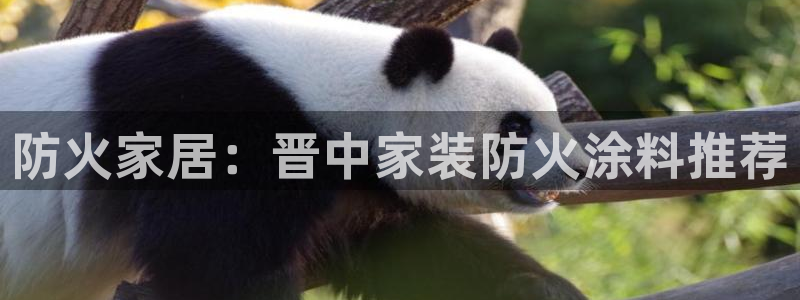 和记广告女主角：防火家居：晋中家装防火涂料推荐