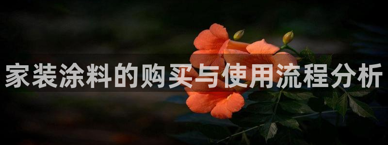 和记ag旗舰厅app