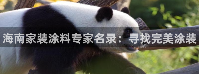 和记旗舰厅：海南家装涂料专家名录：寻找完美涂装