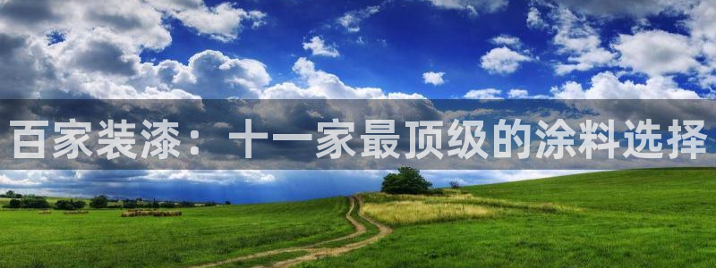 下载和记app：百家装漆：十一家最顶级的涂料选择