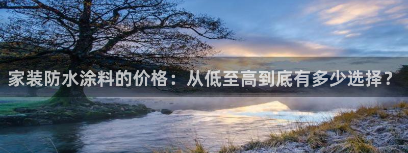 和记ag旗舰厅：家装防水涂料的价格：从低至高到底有多少选择？