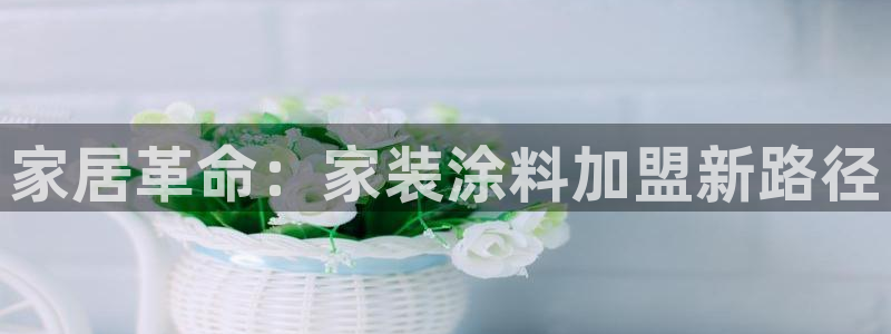 和记国际客服：家居革命：家装涂料加盟新路径